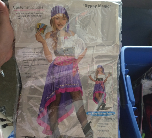 Gypsy Magic Kids Costume - Purple and White - Picture 1 of 6